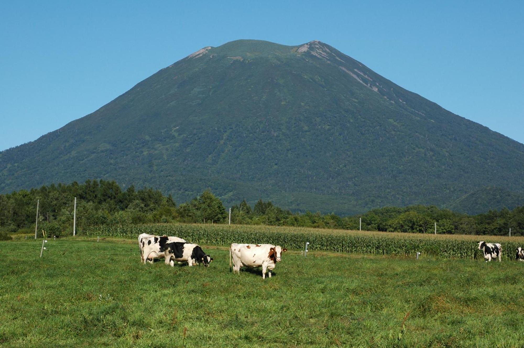 Niseko Highland Cottages Εξωτερικό φωτογραφία