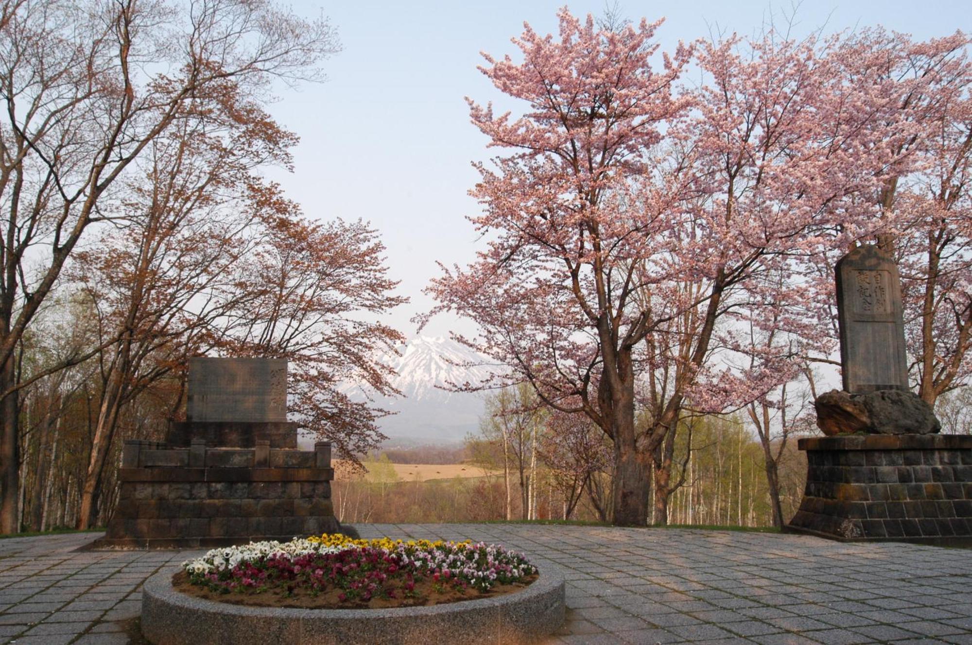 Niseko Highland Cottages Εξωτερικό φωτογραφία